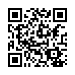 Current page url QR Code